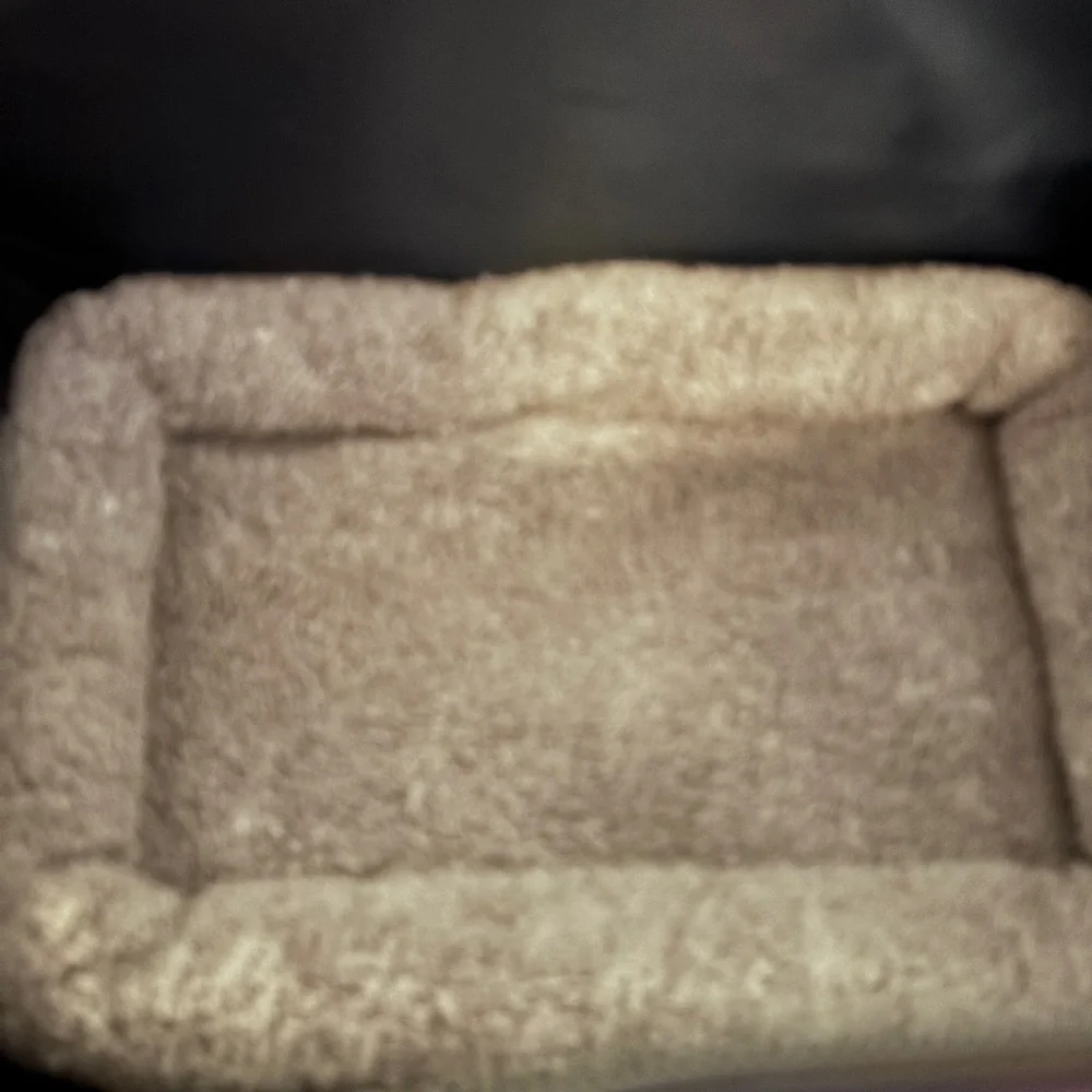 Morp Lot Purple Cat Dog Travel carrier with Fur lined pad. Used Twice